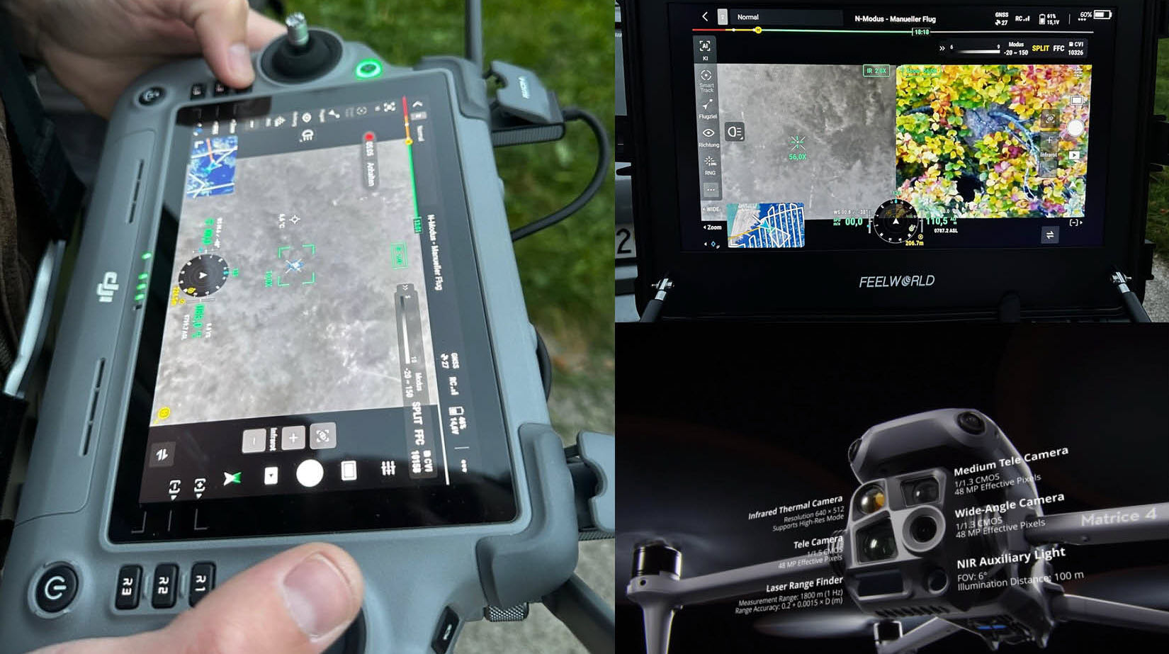 Lokalhelden-Projekt zum Schutz unserer heimischen Tiere