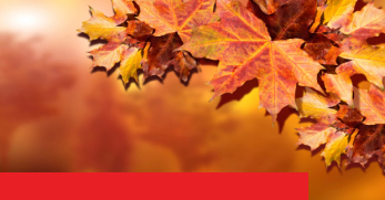 News Raiffeisenbank Region Rorschach