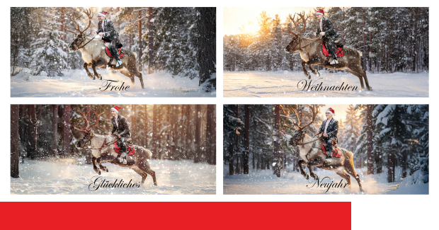 Galoppierend ins neue Jahr!