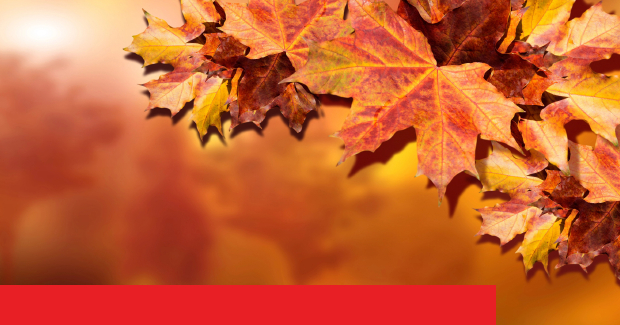 News Raiffeisenbank Region Rorschach