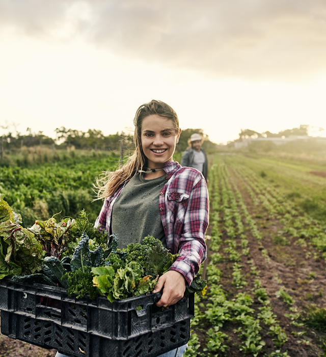 Nachhaltigkeitspublikation 2024