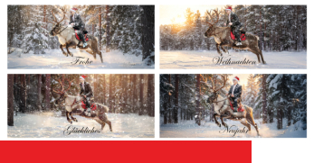 Galoppierend ins neue Jahr!